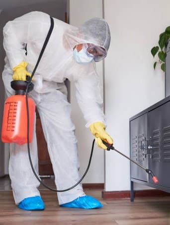 عن الألمانية سمارت